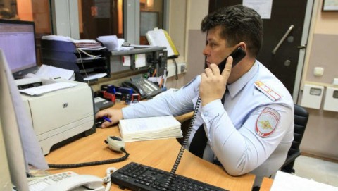 В Михайловском районе полицейские задержали подозреваемого в незаконной рубке 29 сосен