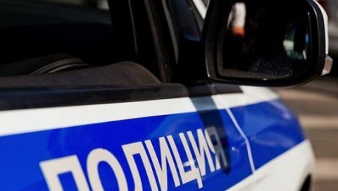 В Михайловском районе двое мужчин признаны виновными в краже сухостойных деревьев